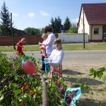 Maibaum aufstellen 2014