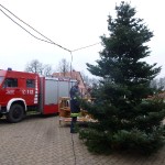 Tannenbaum Wernikow 2014