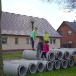 Maibaum aufstellen 2015