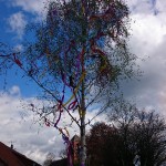 Maibaum aufstellen 2015