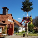 maibaum-2017-wernikow (1)