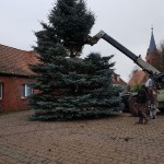 tannenbaum-wernikow-ffw(4)