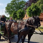 kindertag-hoffest-goeske-wernikow-2019(24)