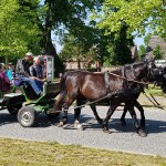 kindertag-hoffest-goeske-wernikow-2019(28)