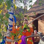 maibaum-2019-wernikow(14)