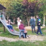 Maibaum 2019