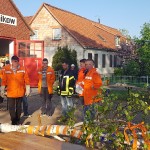 maibaum-2019-wernikow(3)