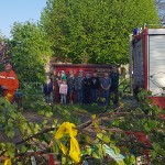 maibaum-2019-wernikow(4)