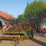 maibaum-2019-wernikow(6)