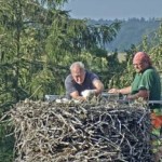 storch-wernikow-2020(25)