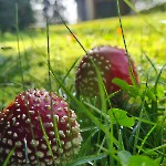 wernikow-impressionen-2021-22 (100)