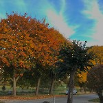 wernikow-impressionen-2021-22 (103)