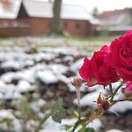 wernikow-impressionen-2021-22 (10)