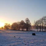 wernikow-impressionen-2021-22 (19)