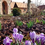 wernikow-impressionen-2021-22 (30)