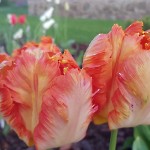 wernikow-impressionen-2021-22 (35)
