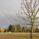 wernikow-impressionen-2021-22 (3)