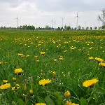 wernikow-impressionen-2021-22 (42)