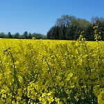 wernikow-impressionen-2021-22 (43)