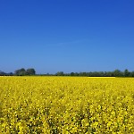 wernikow-impressionen-2021-22 (44)