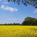wernikow-impressionen-2021-22 (45)