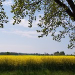 wernikow-impressionen-2021-22 (46)
