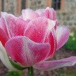 wernikow-impressionen-2021-22 (47)