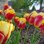 wernikow-impressionen-2021-22 (48)