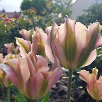 wernikow-impressionen-2021-22 (49)
