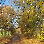 wernikow-impressionen-2021-22 (4)