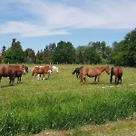 wernikow-impressionen-2021-22 (52)