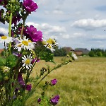 wernikow-impressionen-2021-22 (53)