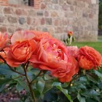 wernikow-impressionen-2021-22 (55)