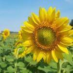 wernikow-impressionen-2021-22 (59)