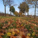 wernikow-impressionen-2021-22 (5)