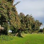 wernikow-impressionen-2021-22 (68)
