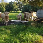 wernikow-impressionen-2021-22 (69)
