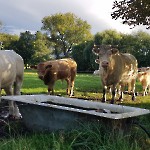 wernikow-impressionen-2021-22 (70)