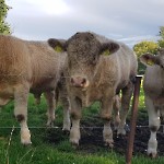 wernikow-impressionen-2021-22 (71)