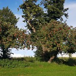 wernikow-impressionen-2021-22 (73)