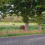 wernikow-impressionen-2021-22 (81)