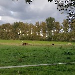 wernikow-impressionen-2021-22 (82)