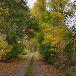 wernikow-impressionen-2021-22 (88)