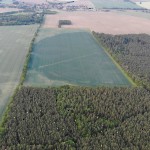 2022 Imperssionen Wernikow