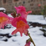 wernikow-impressionen-2021-22 (9)