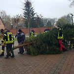 tannenbaum-wernikow-2022-01