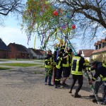 Maibaum aufstellen 2020