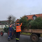 tannenbaumaktion-jugend-ffw-wernikow2023-08