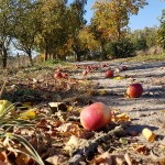 Impressionen Fotos von Wernikow