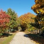 wanderweg-wernikow-herbstimpressionen2018